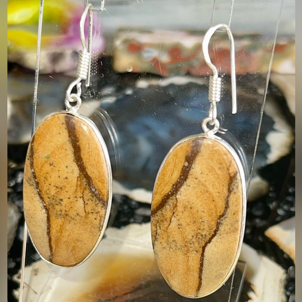 Earthy Landscape Picture Jasper Earrings 2”